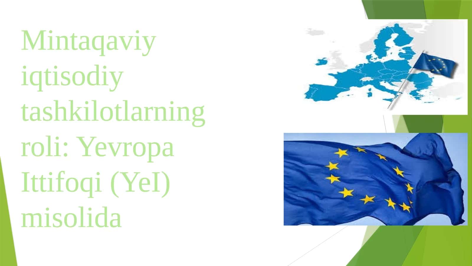Mintaqaviy iqtisodiy tashkilotlarning roli: Yevropa Ittifoqi (YeI) misolida 1