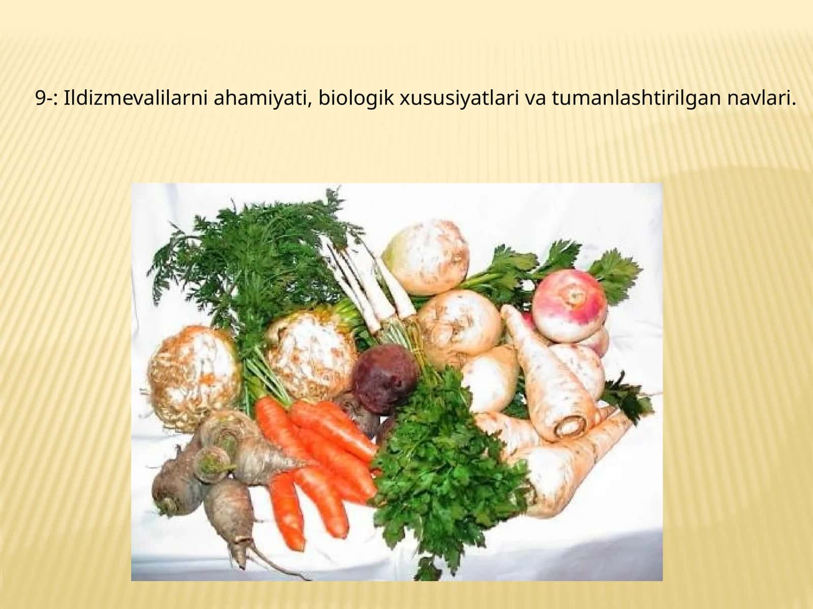 Ildizmevalilarni ahamiyati, biologik xususiyatlari va tumanlashtirilgan navlari 1