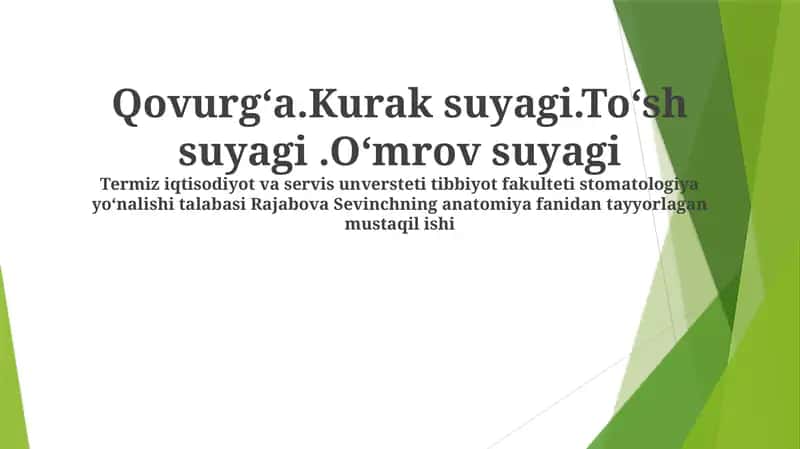 Qovurg'alar (Ribs) 1