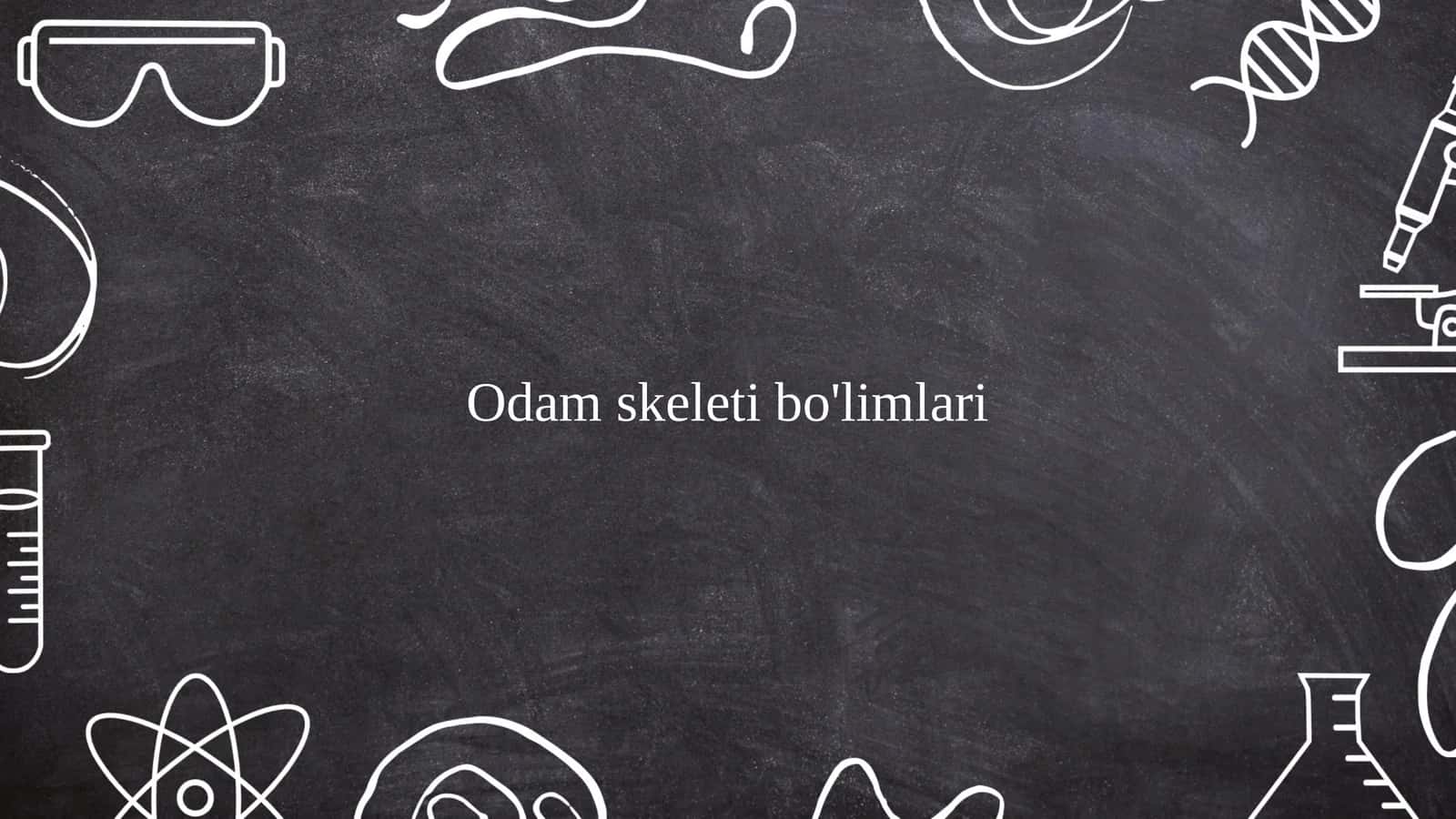 Odam skeleti va uning funksiyalari 1