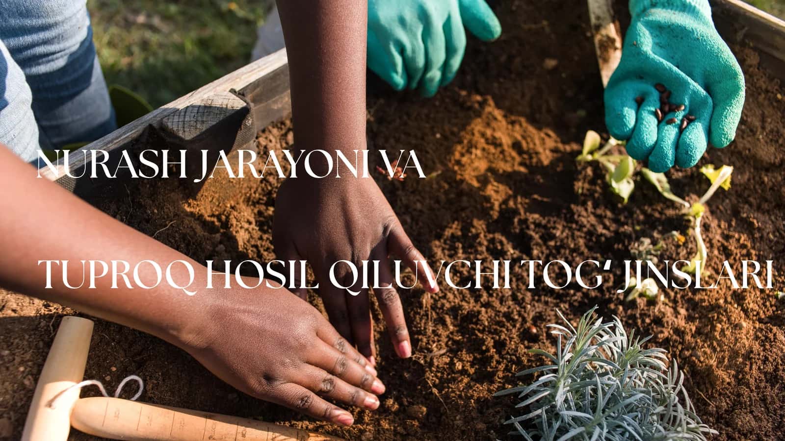 NURASH JARAYONI VA TUPROQ HOSIL QILUVCHI TOGʻ JINSLARI 1