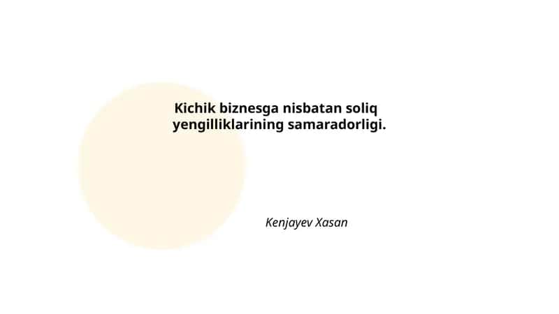 Soliq yengilliklarining kichik biznesga ta'siri 1