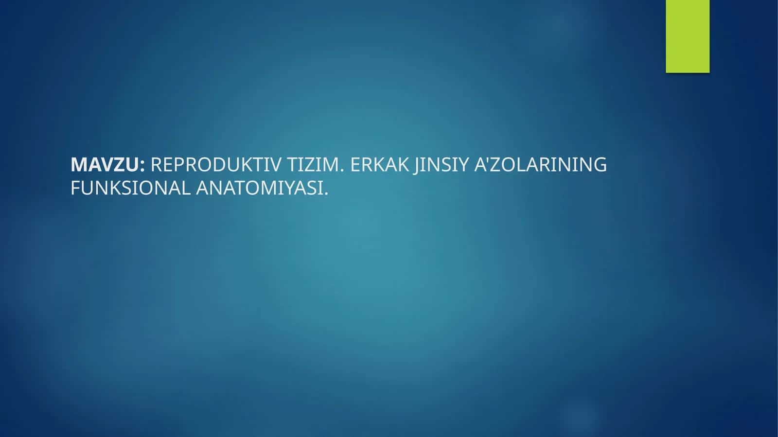 Reproduktiv tizim. Erkak jinsiya'zolarining funksional anatomiyasi 1