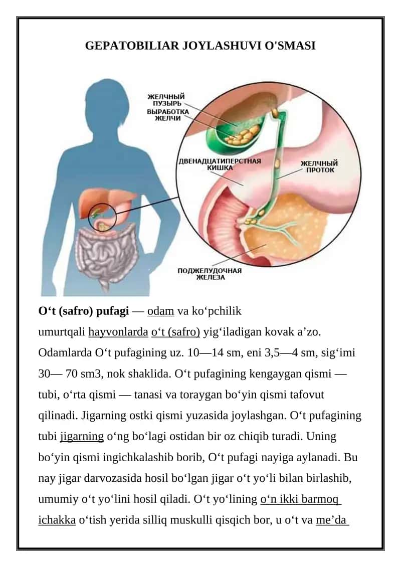 GEPATOBILIAR JOYLASHUVI O'SMASI 1