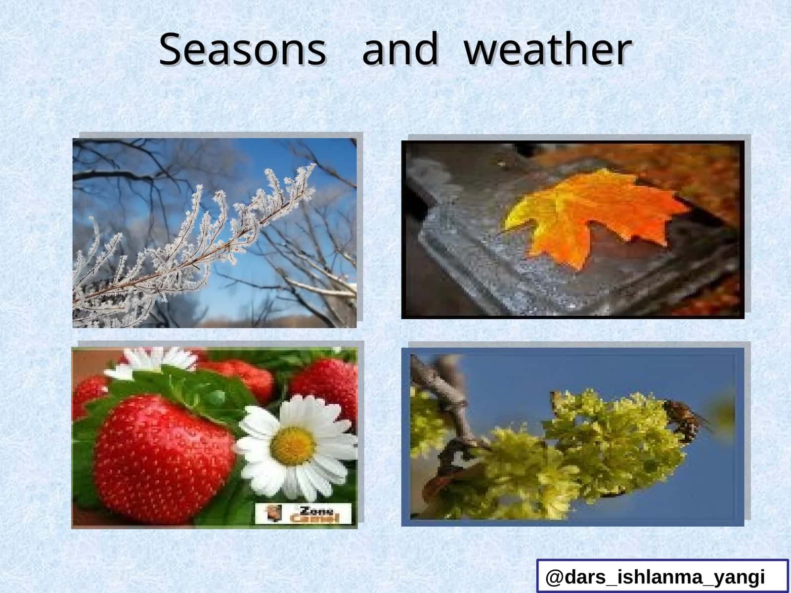 Spring, Summer, Autumn, Winter - Seasons and Weather 1