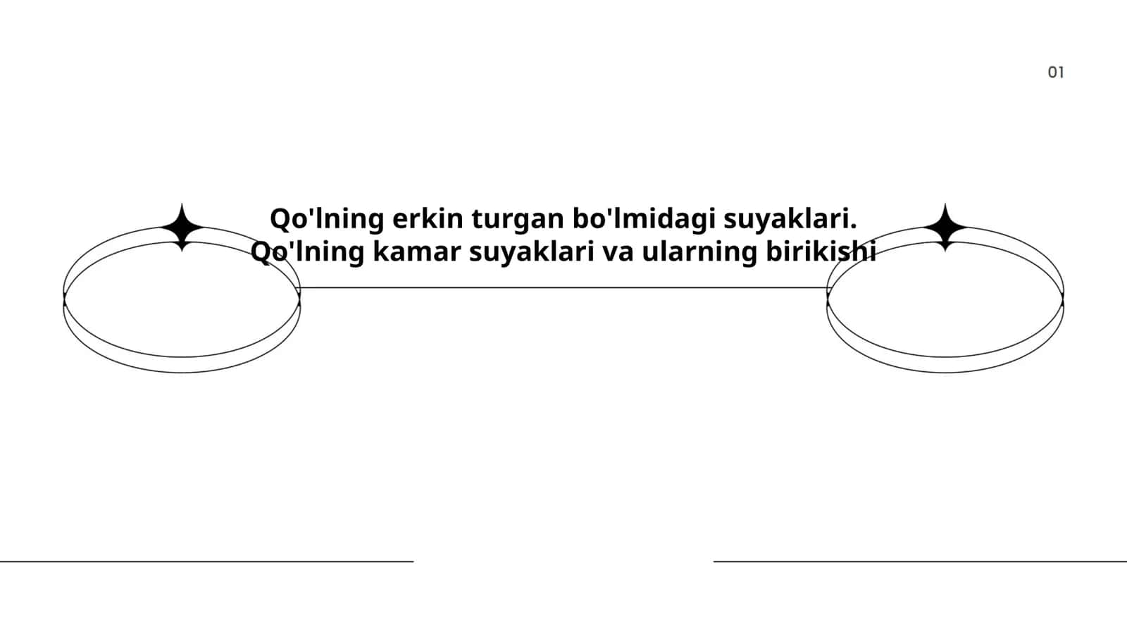Qo'lning erkin turgan bo'lmidagi suyaklari 1