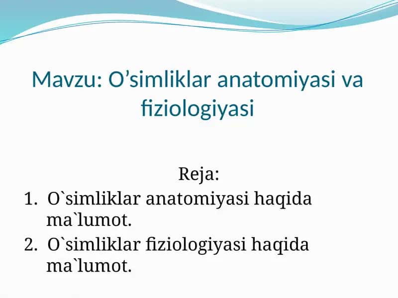 O’simliklar anatomiyasi va fiziologiyasi 1