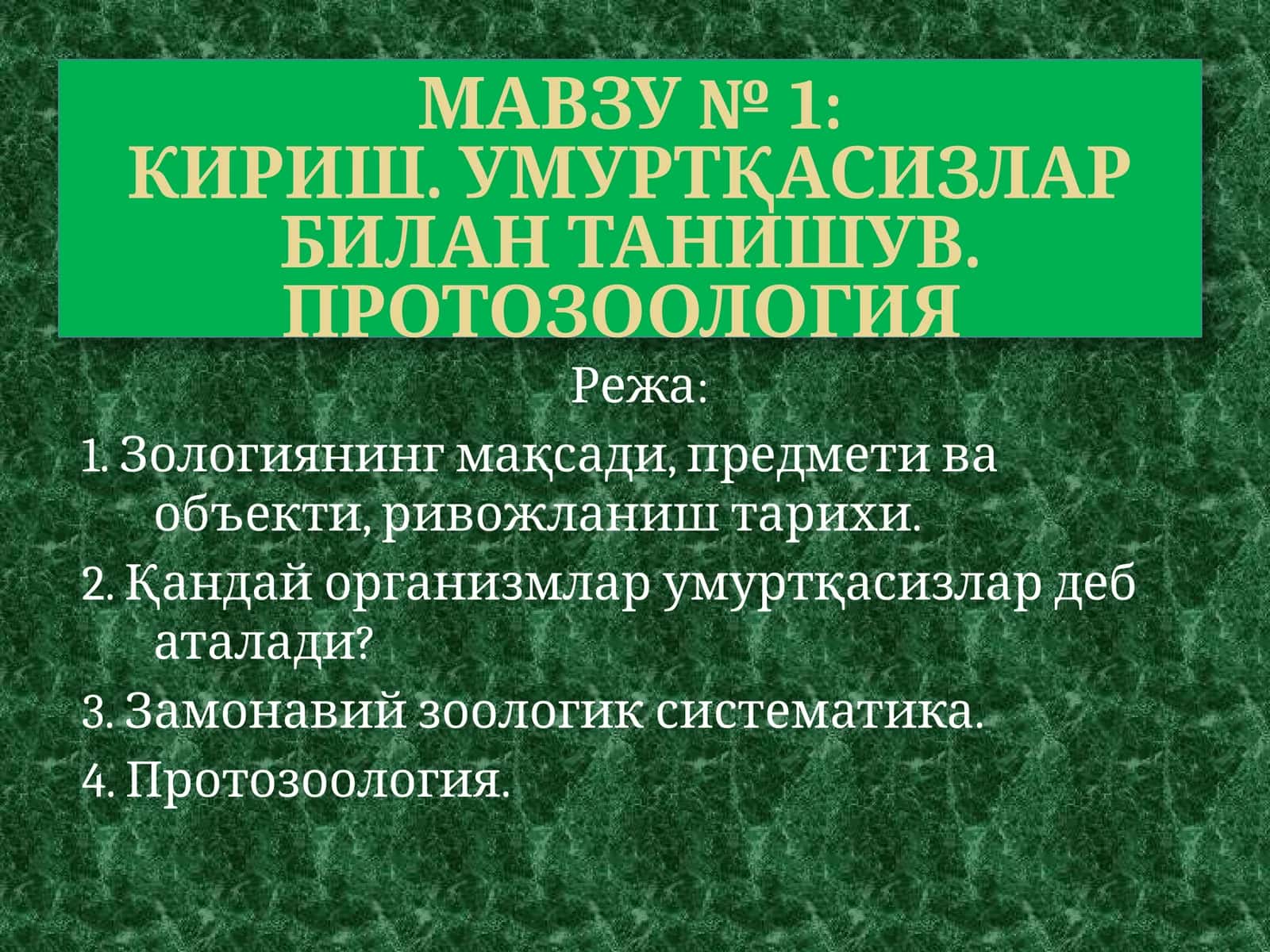 Зоология (умуртқасизлар) 1