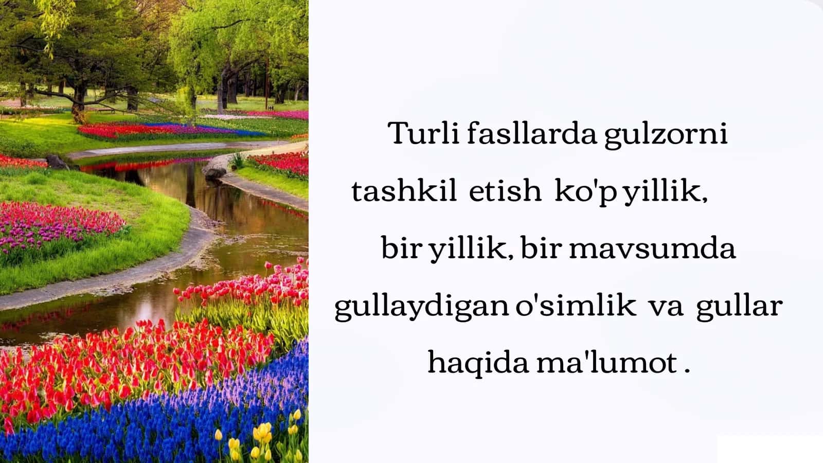Turlifasllardagulzornitashkiletishko'pyillik,biryillik,birmavsumdagullaydigano'simlikvagullarhaqidama'lumot 1