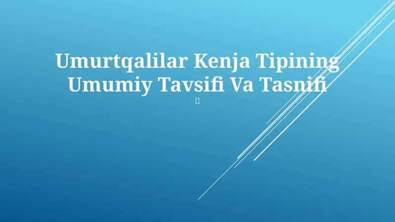 Umurtqalilar Kenja Tipining Umumiy Tavsifi Va Tasnifi 1