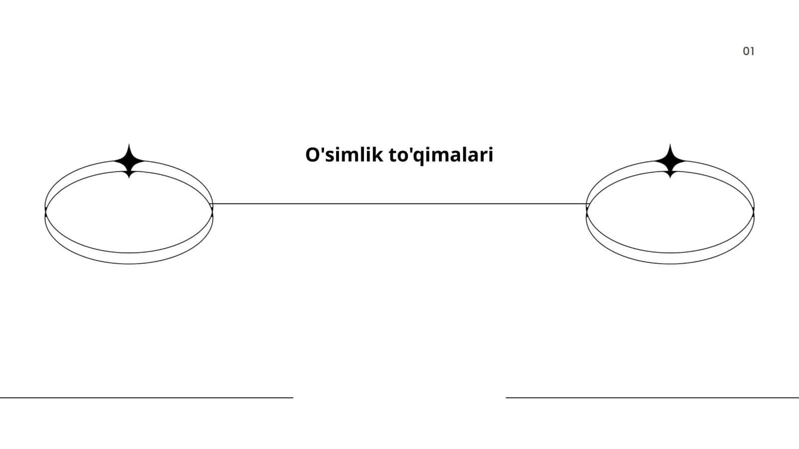 O'simlik to'qimalari 1