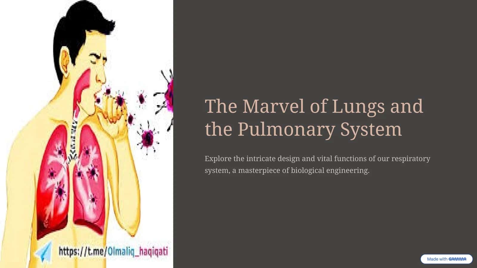 The Marvel of Lungs and the Pulmonary System 1