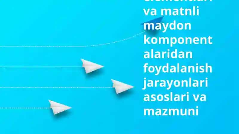 Boshqaruv Elementlari va Tekst Maydonlari