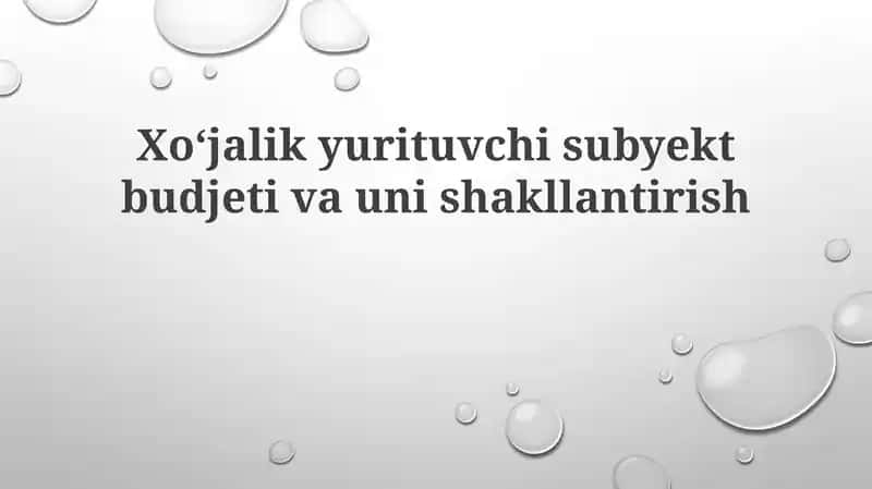 Byudjetning mohiyati va ahamiyati