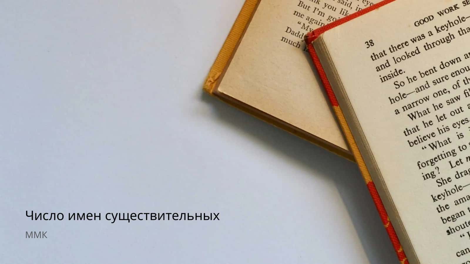 Число имен существительных 1