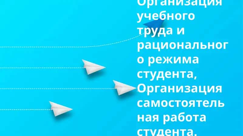 Организация учебного труда и рационального режима студента 1