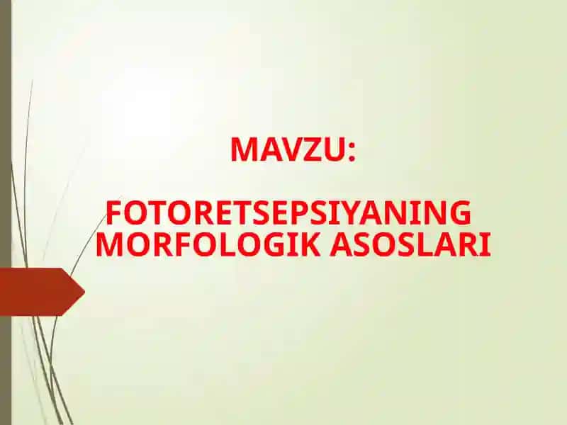 FOTORETSEPSIYANING MORFOLOGIK ASOSLARI