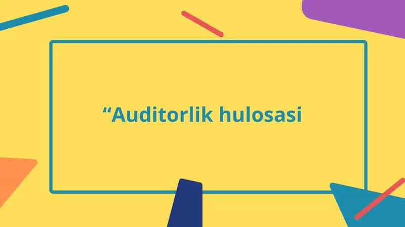 Auditorlik xulosasi 1