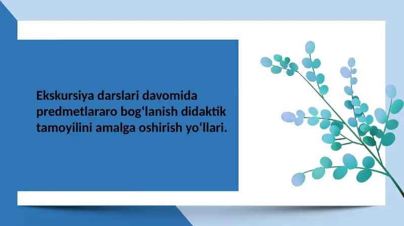 Ekskursiya darslari davomida predmetlararo bog‘lanish didaktik tamoyilini amalga oshirish yo‘llari 1