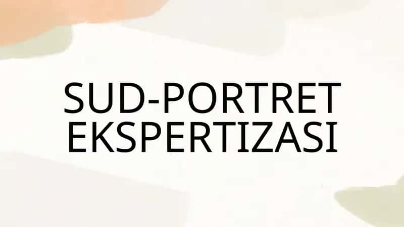 SUD-PORTRET EKSPERTIZASI 1