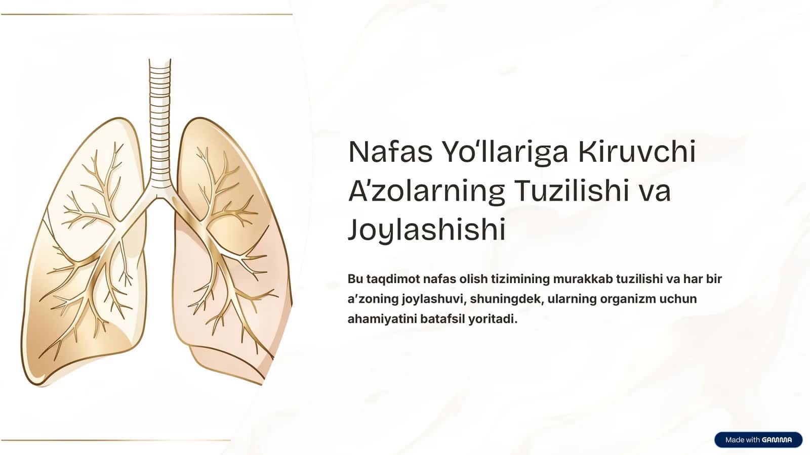 Nafas Yo‘llariga Kiruvchi A’zolarning Tuzilishi va Joylashishi 1