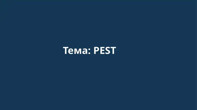 PEST analiz 1