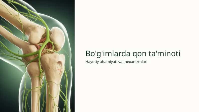 Bo'g'imlarda qon ta'minoti 1