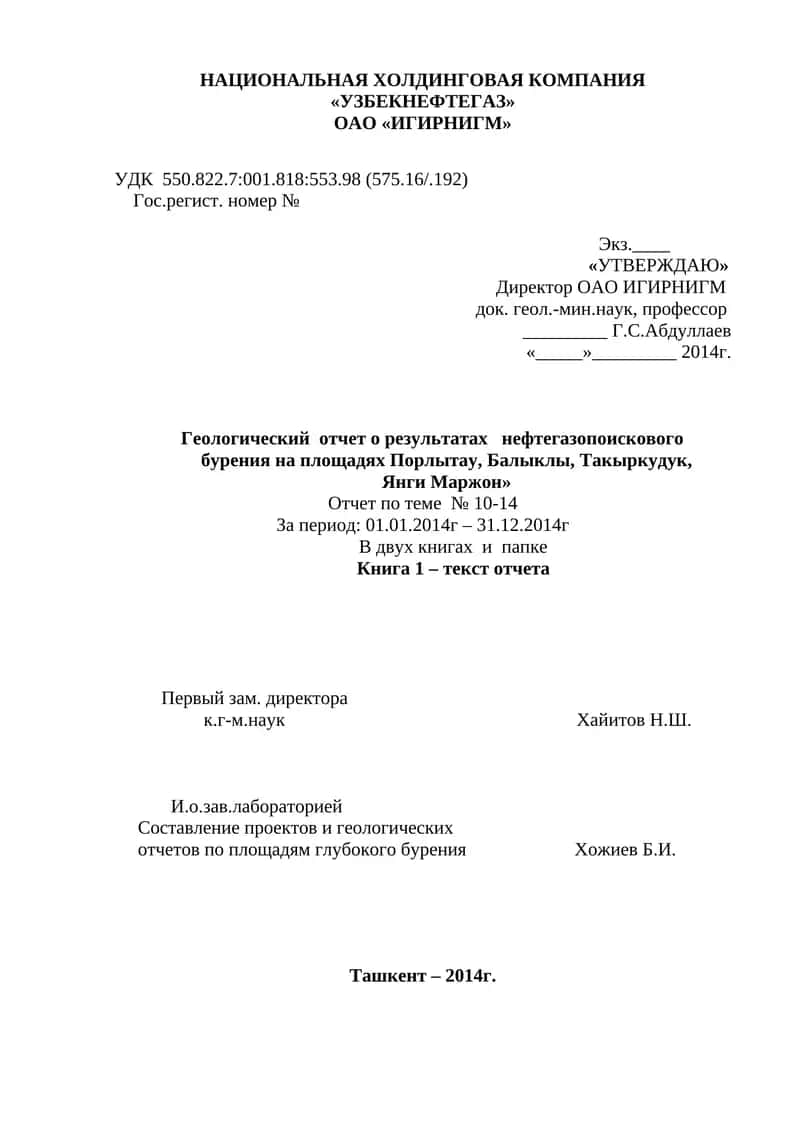 Геологический отчет о результатах нефтегазопоискового бурения 1
