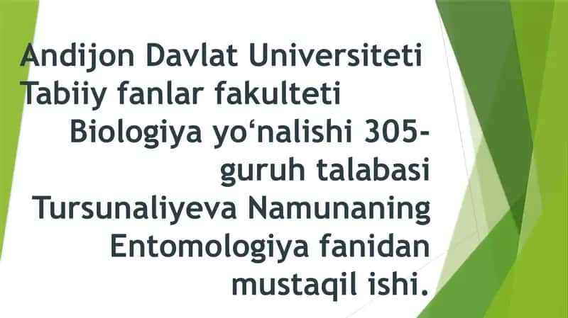 Entomologiya fanidan mustaqil ish 1