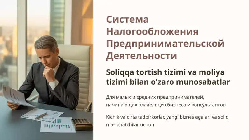 Система Налогообложения Предпринимательской Деятельности 1