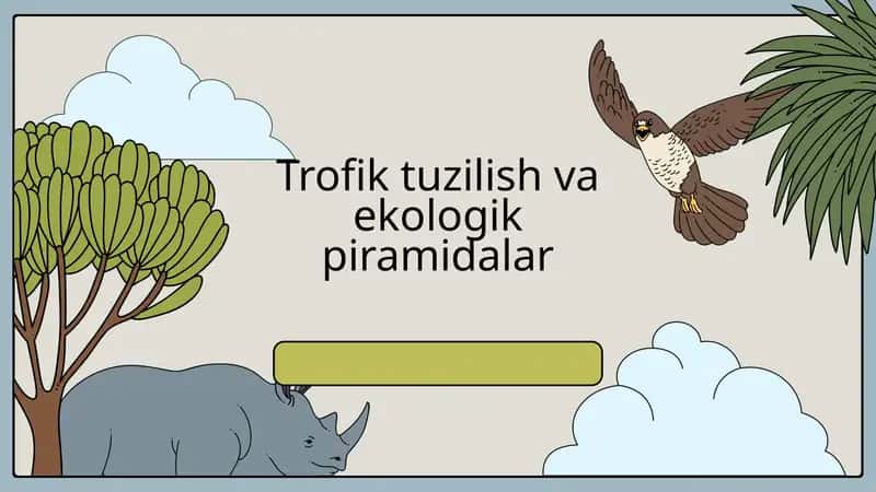 Trofik tuzilish va ekologik piramidalar 1