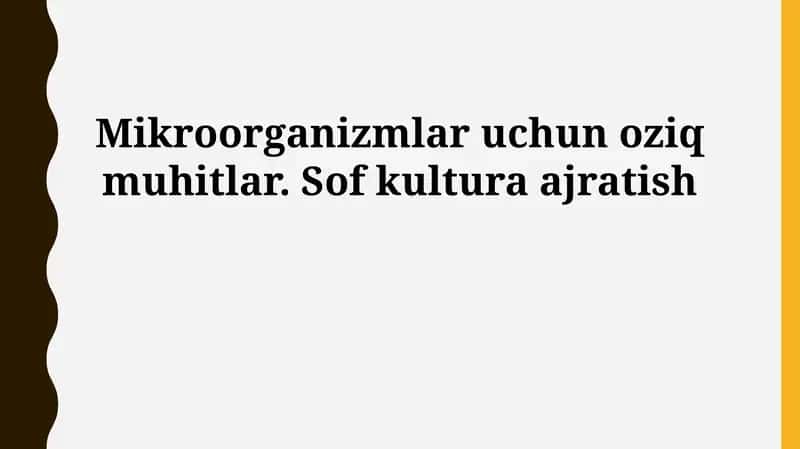 Mikroorganizmalar uchun oziq muhitlar. Sof kultura ajratish 1