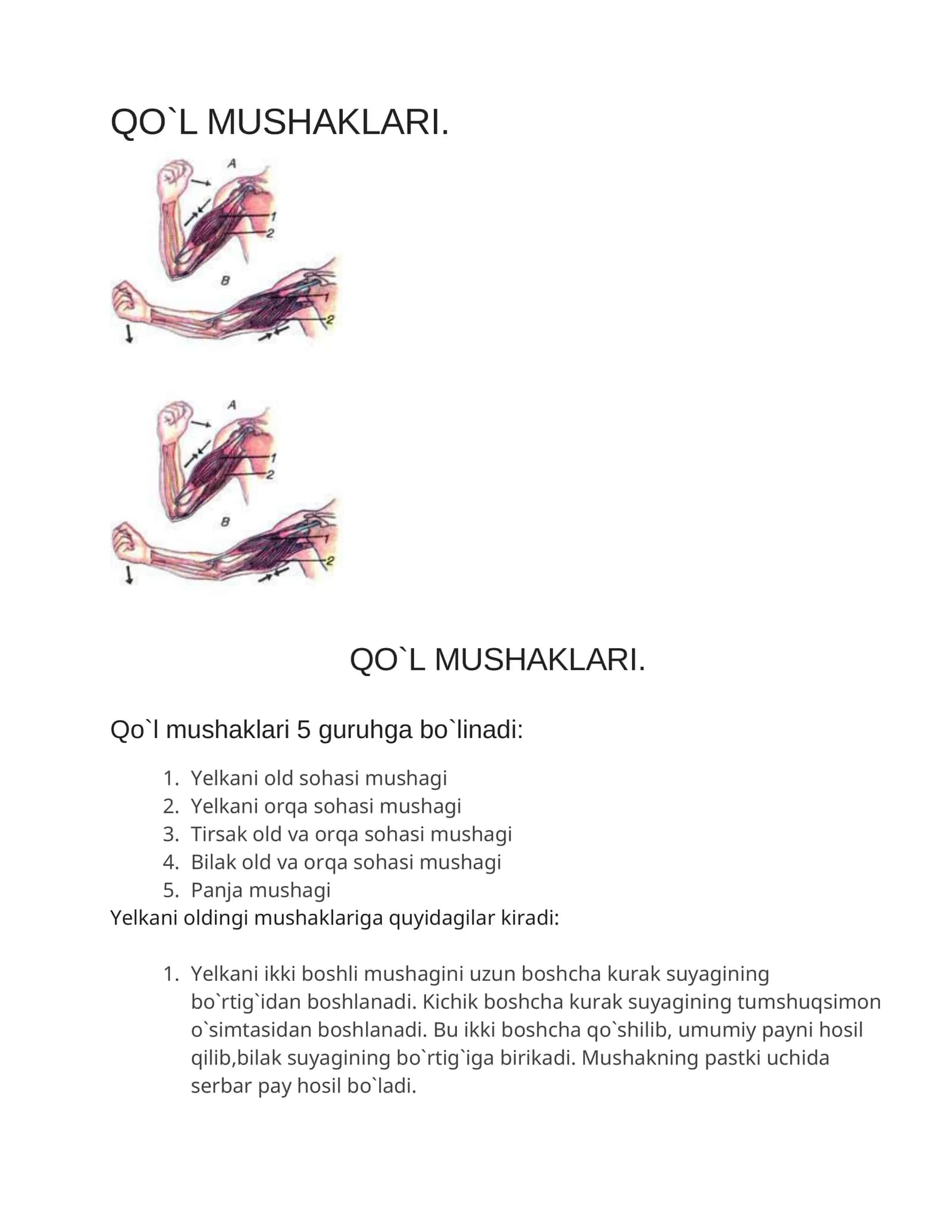 QO`L MUSHAKLARI 1
