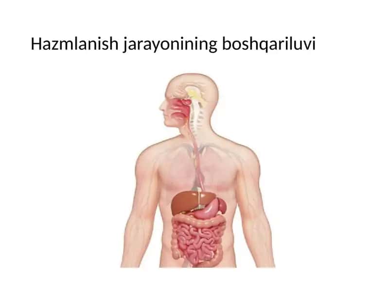 Hazmlanish jarayonining boshqariluvi 1