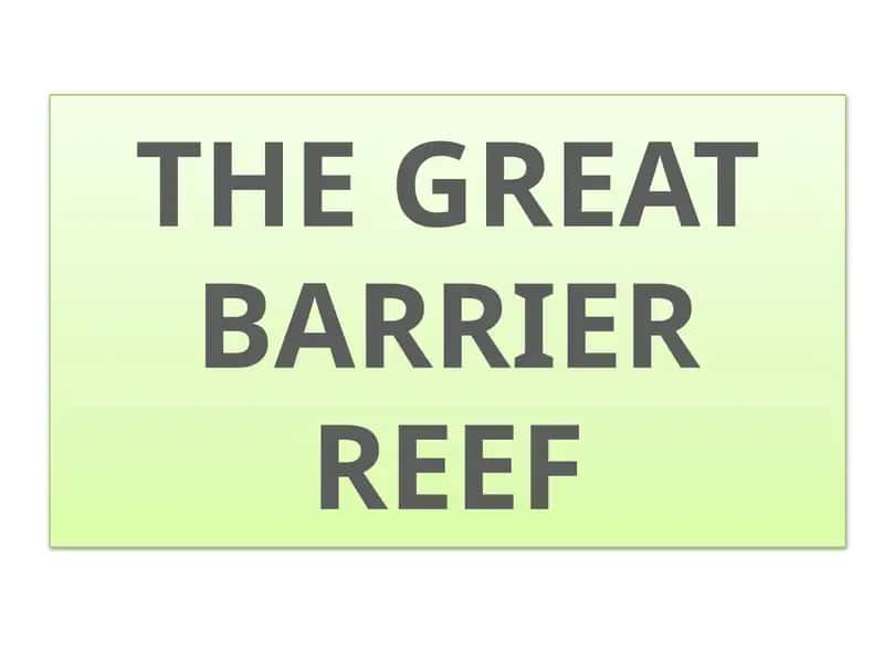 THE GREAT BARRIER REEF 1