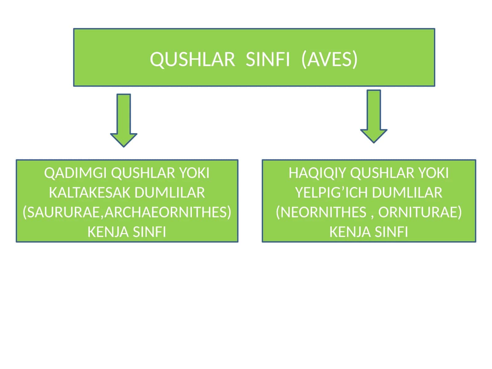 QUSHLAR SINFI (AVES) 1