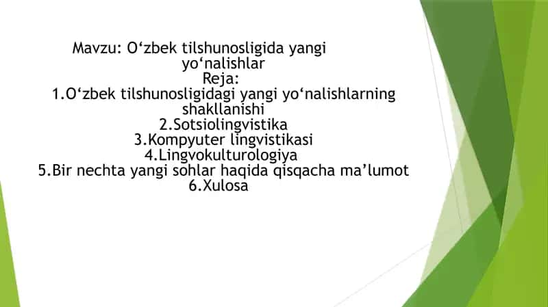 O‘zbek tilshunosligida yangi yo‘nalishlar 1