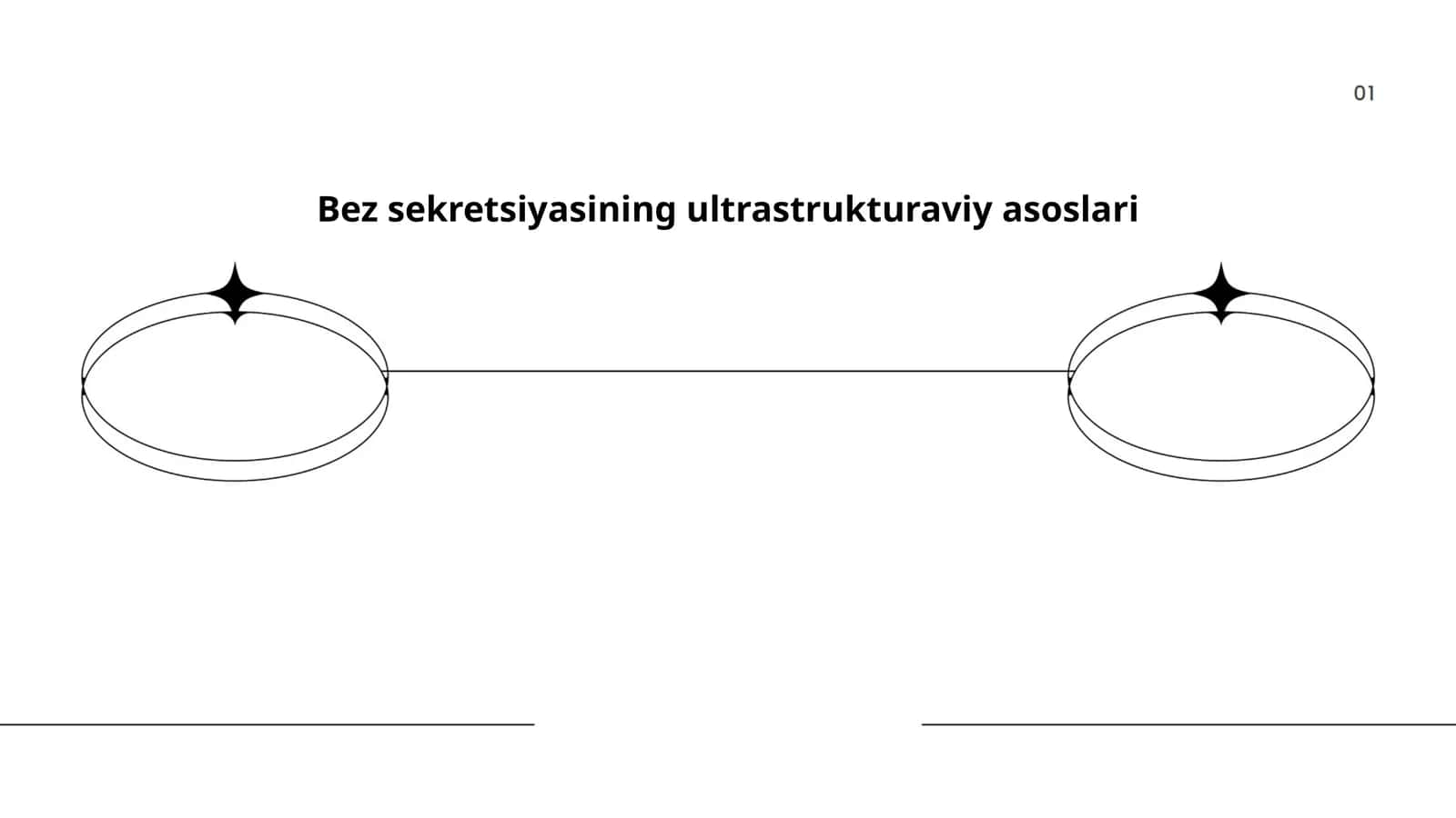 Bez sekretsiyasining ultrastrukturaviy asoslari 1