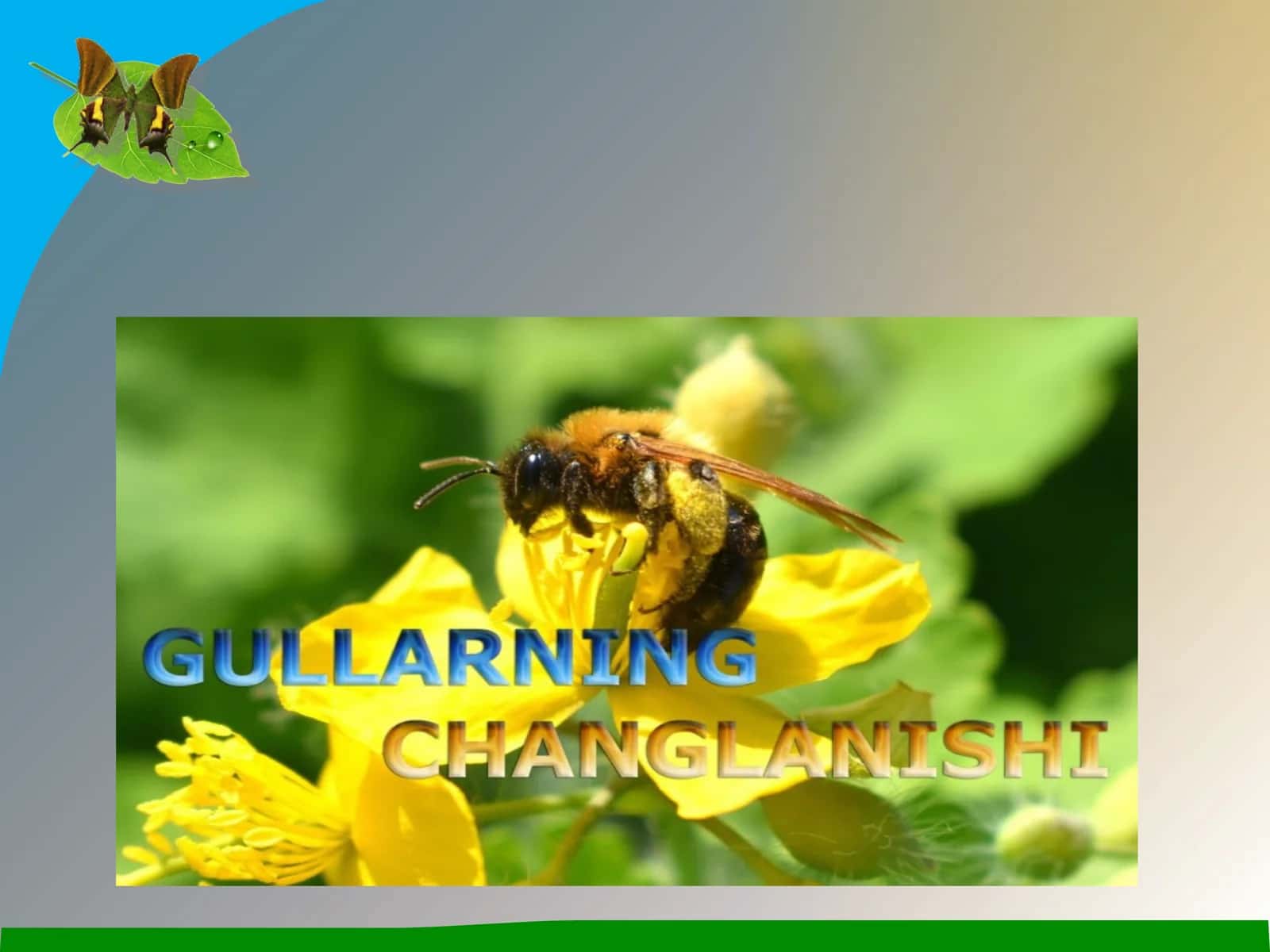 Gullarningchanglanishi 1