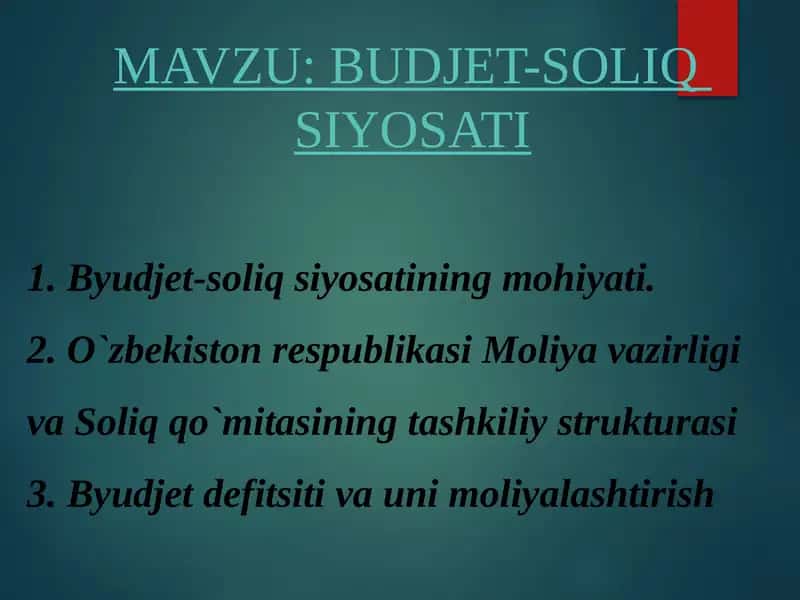 Byudjet-soliqsiyosatining mohiyati 1