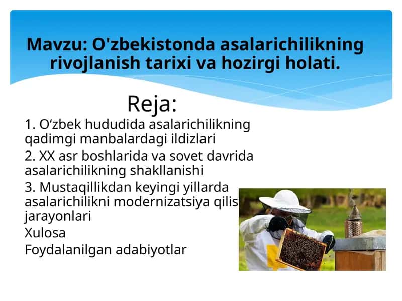 O'zbekistonda asalarichilikning rivojlanish tarixi va hozirgi holati 1