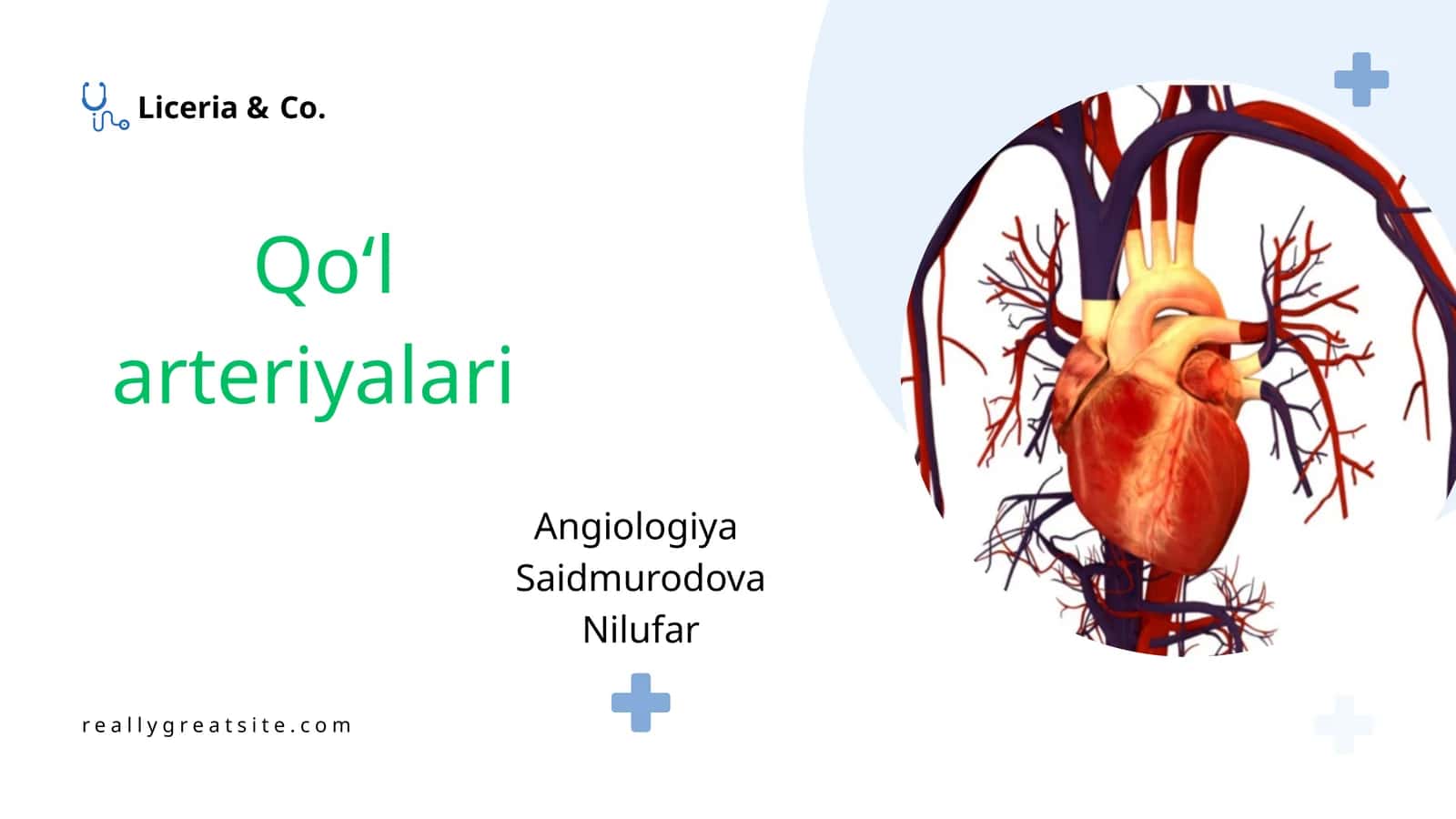 Qoʻl arteriyalari 1