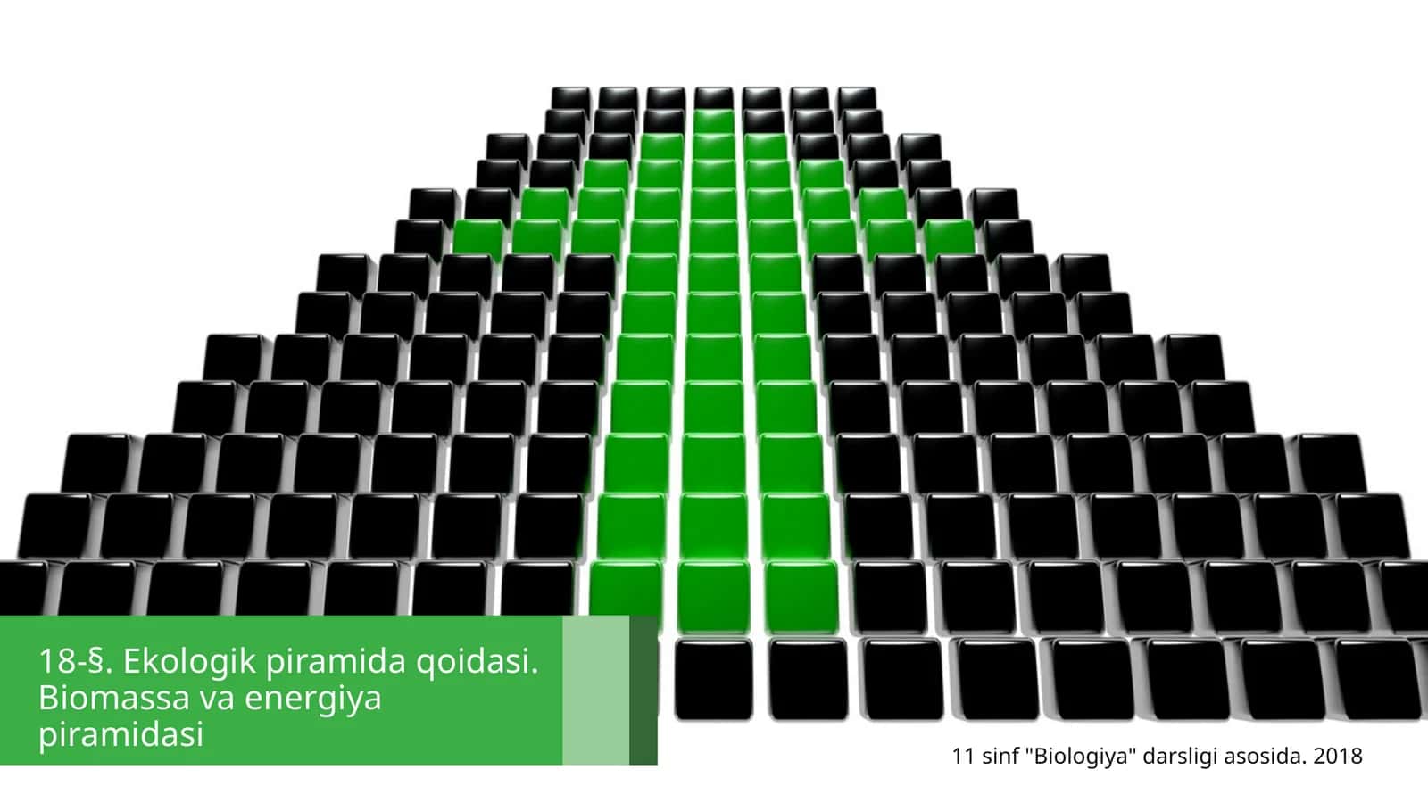 18-§.Ekologikpiramidaqoidasi.Biomassavaenergiyapiramidasi 1
