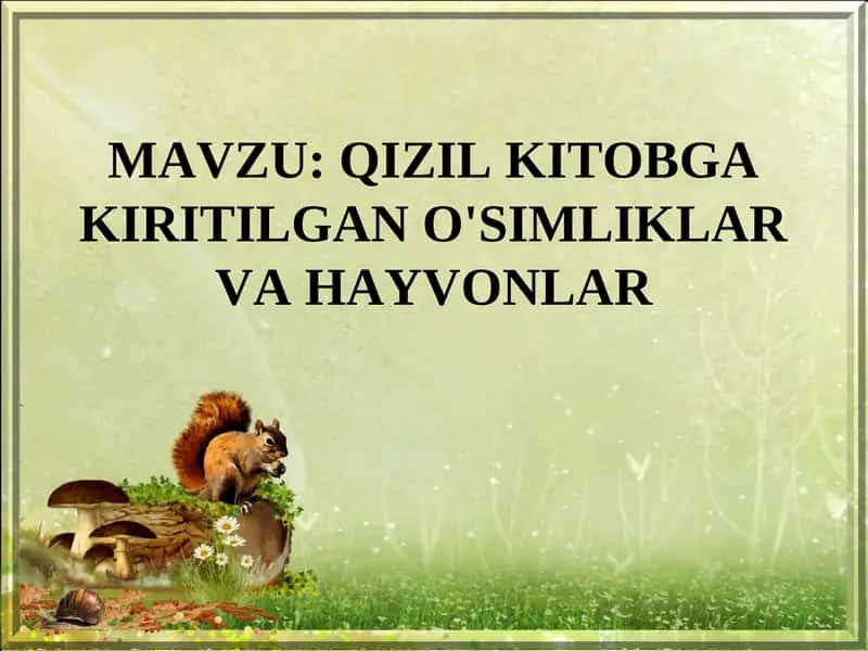QIZIL KITOBGA KIRITILGAN O'SIMLIKLAR VA HAYVONLAR 1