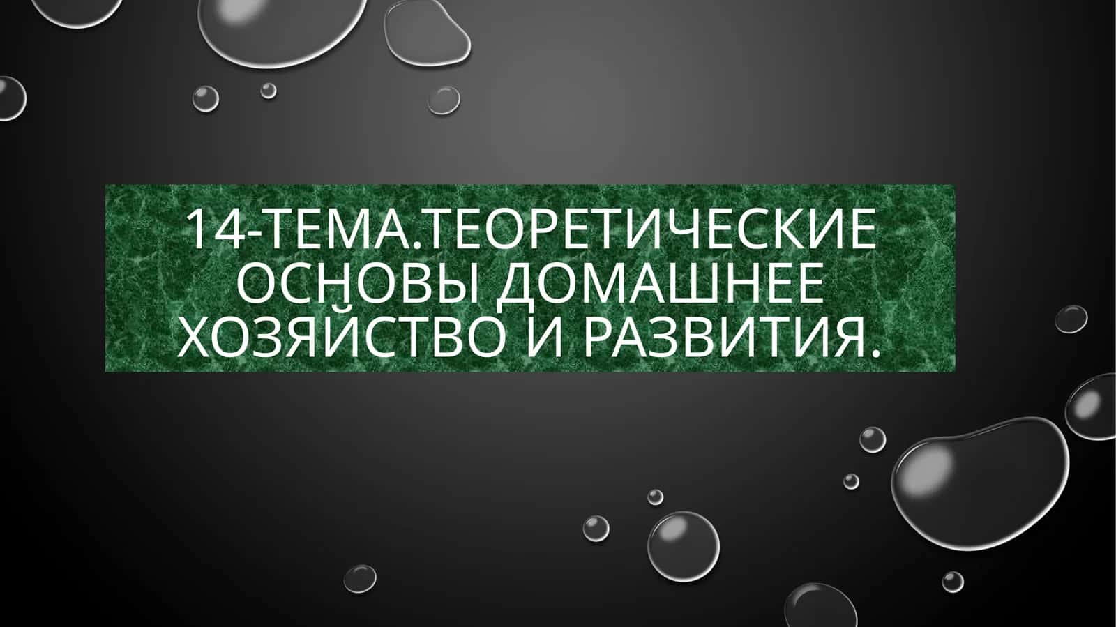 Теоретические основы домашнее хозяйство и развития 1