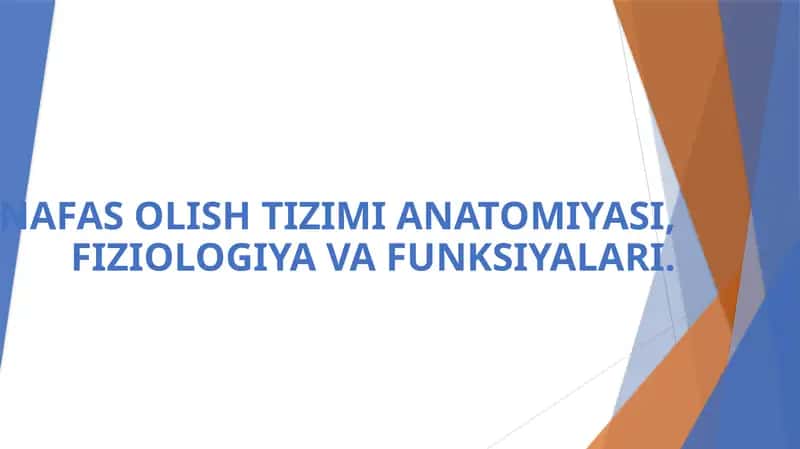 NAFAS OLISH TIZIMI ANATOMIYASI, FIZIOLOGIYA VA FUNKSIYALARI 1