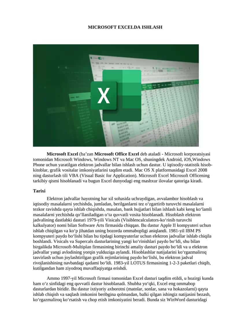 Microsoft Excel 1