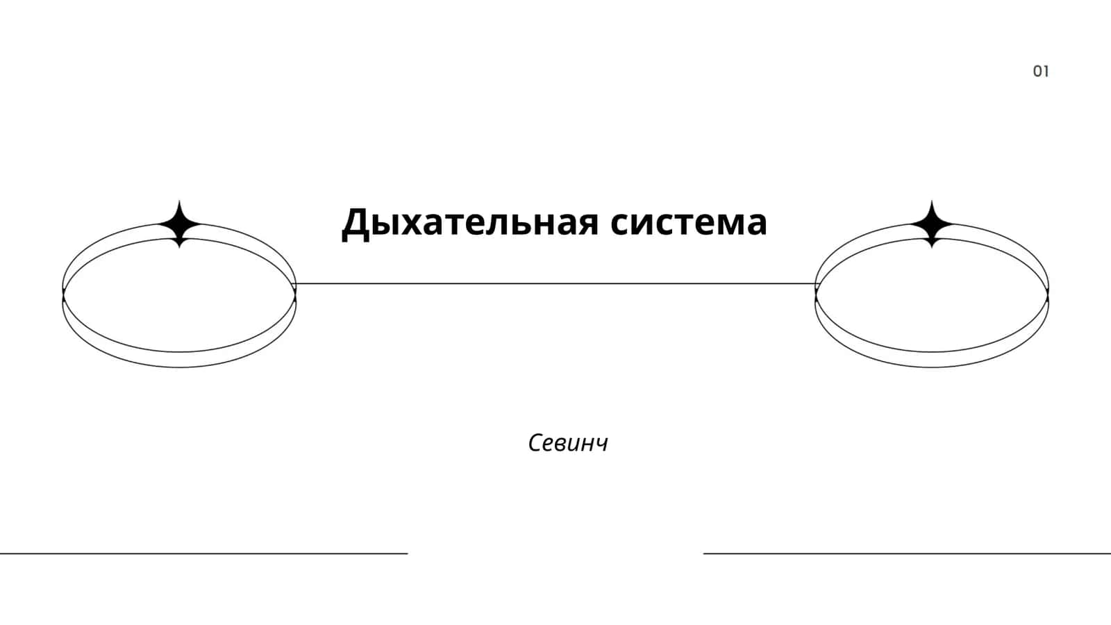 Дыхательная система 1