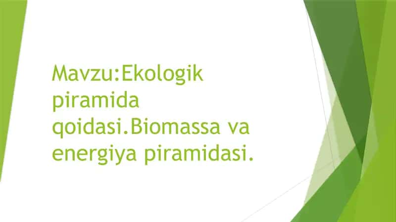Ekologik piramida qoidasi.Biomassa va energiya piramidasi 1