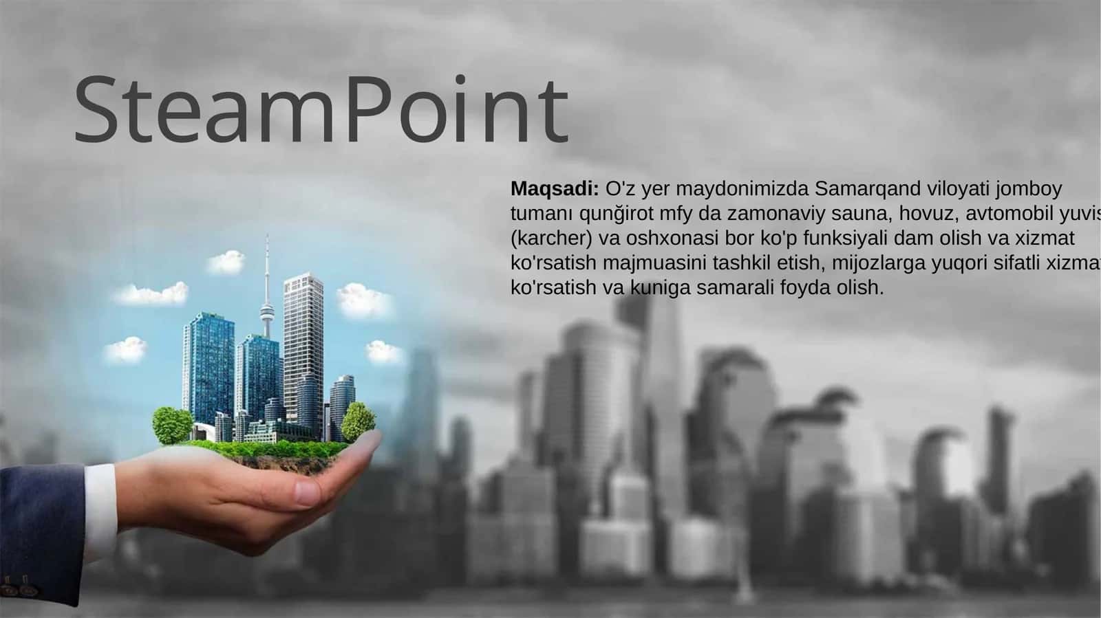 SteamPoint 1